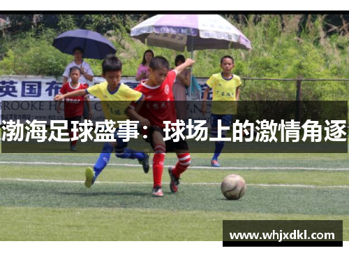渤海足球盛事：球场上的激情角逐