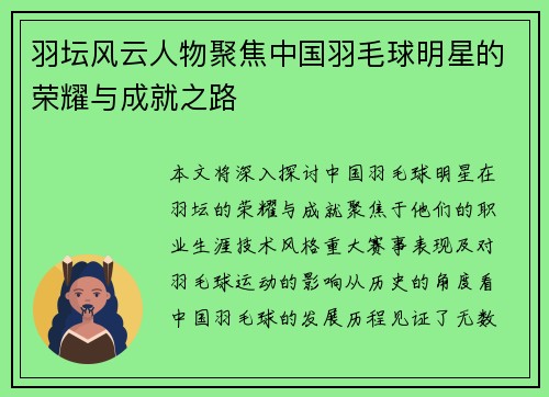 羽坛风云人物聚焦中国羽毛球明星的荣耀与成就之路