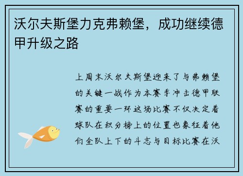 沃尔夫斯堡力克弗赖堡，成功继续德甲升级之路